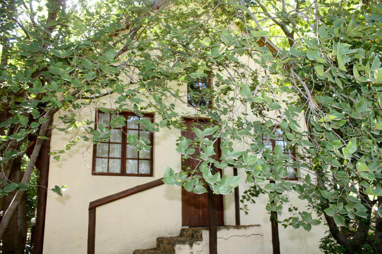 Hekpoort The Nutbush Boma Lodge المظهر الخارجي الصورة